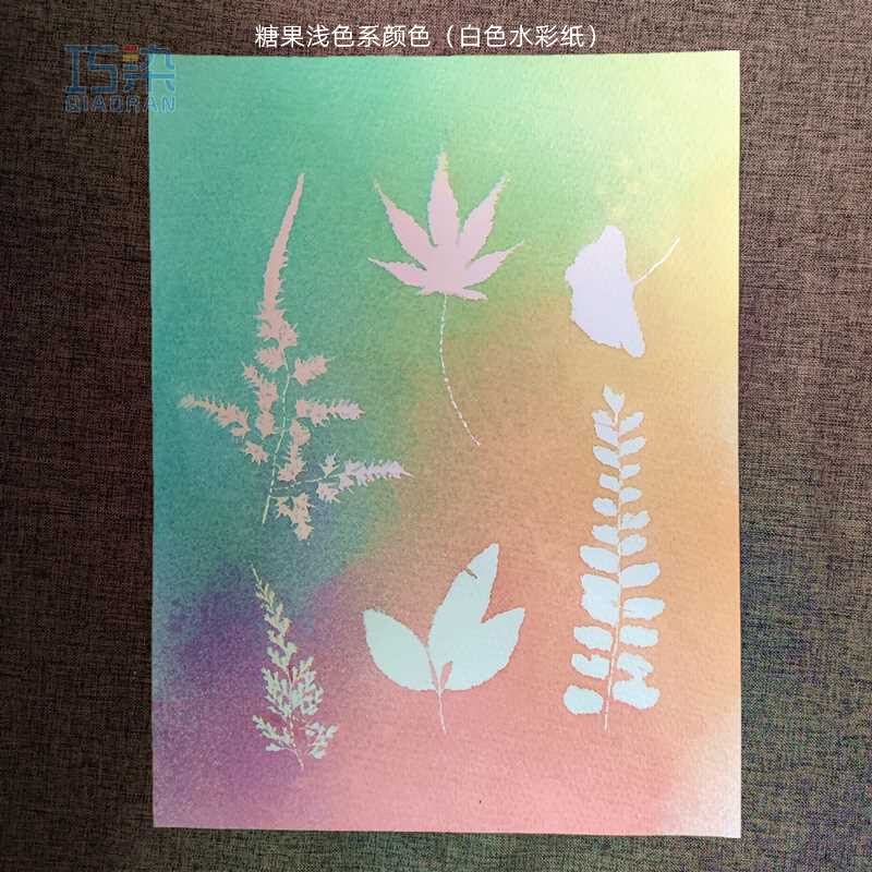 纺织品喷绘颜料手绘植物拓印喷染儿童创意美术颜料干后洗水不掉色