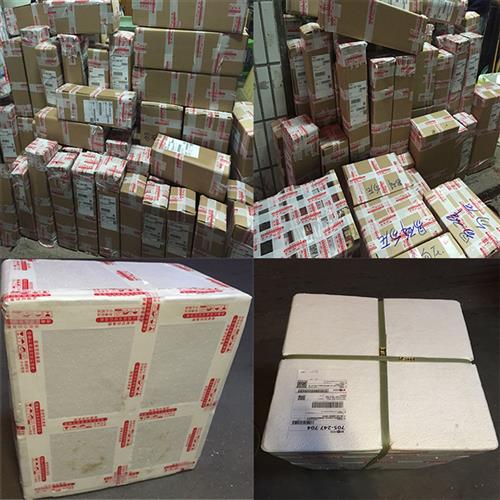 极速小叶紫檀盆景树桩q室内四季常青黑骨香盆栽植物老桩办公室绿