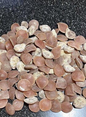 极速鱼惊石大青鱼石原石乌青鱼喉骨手串吊L坠挂饰制作特大骨料把