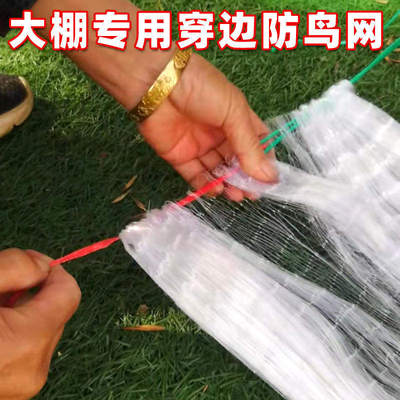 极速农用防鸟网防雹网天网果树果园用的大棚防乌尼U龙网养殖防护