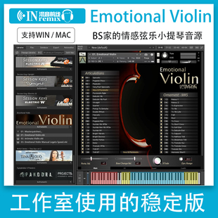 天籁轻音Emotional Violin情感小提琴弦乐独奏音源Kontakt音色库