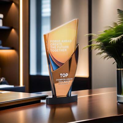 2025新款工艺水晶奖杯定制定做高档大气比赛冠军纪念彩印奖杯创意