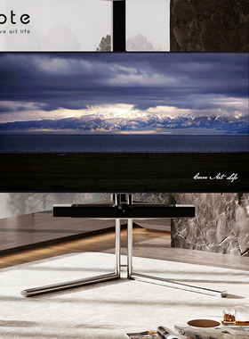 CABTE可移动电视机支架不锈钢落地推车电视简约艺术支架40-75英寸