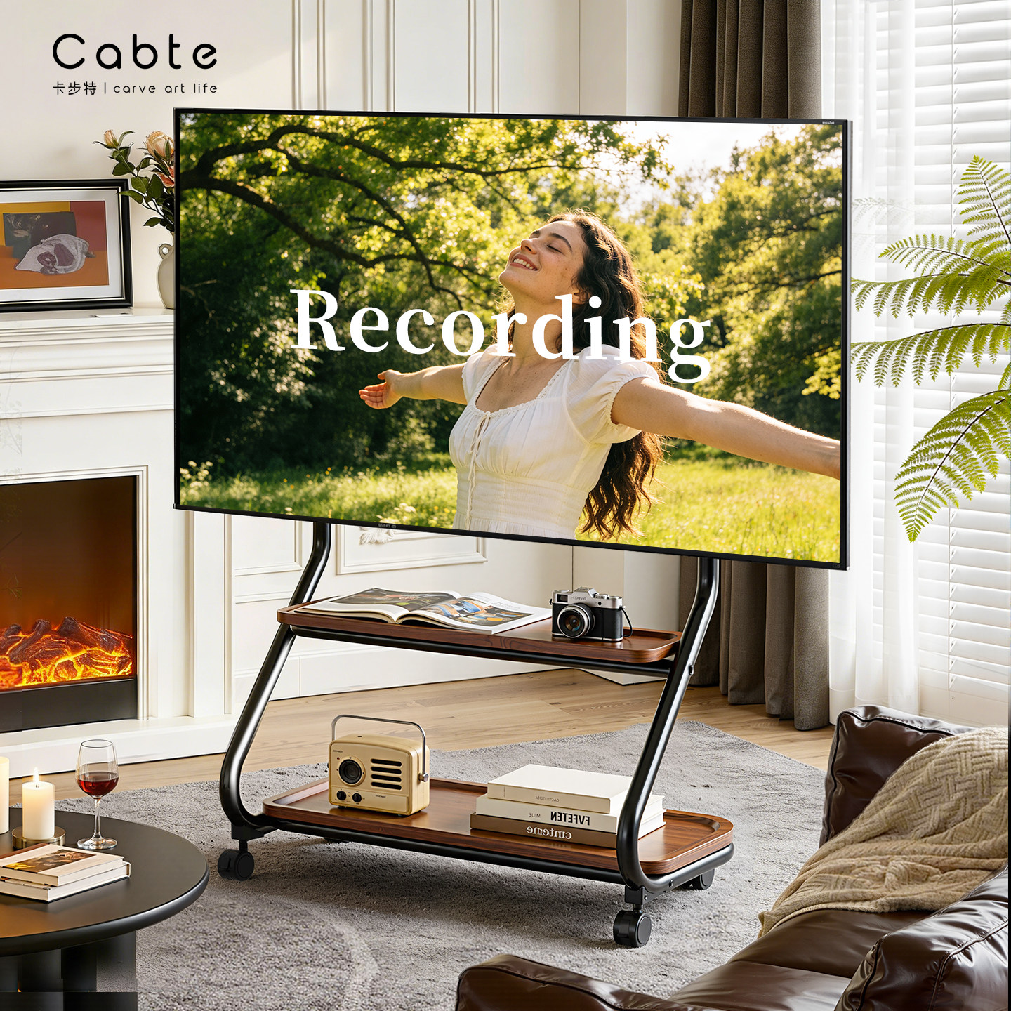 CABTE双子塔电视艺术支架可移动