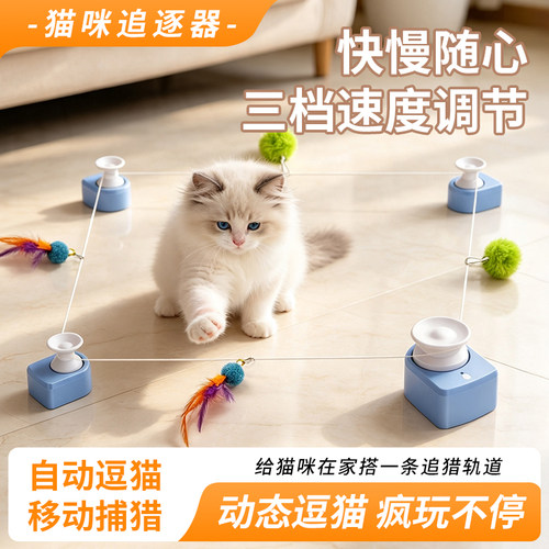 猫咪追逐玩具动消耗体力