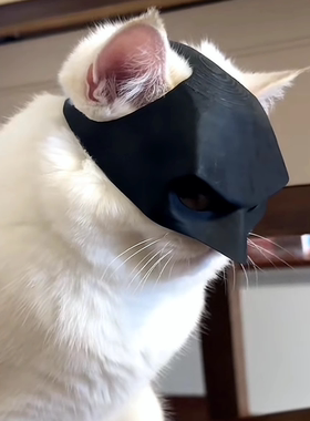 【抖音同款】蝙蝠侠头盔猫咪面具