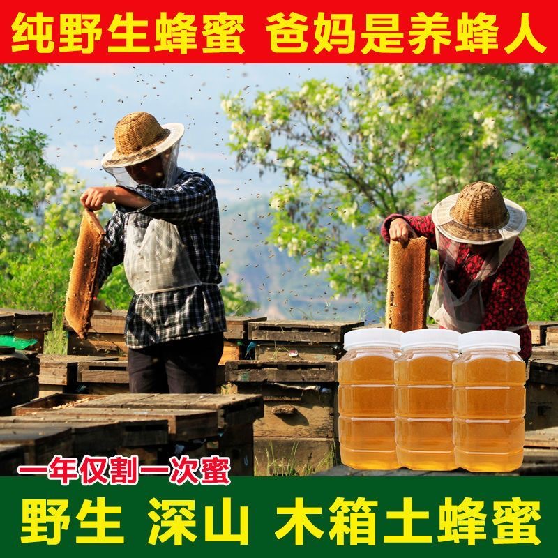 纯正蜜蜂天然野生土蜂蜜农家自产自销百花枣花洋槐蜜便宜健康