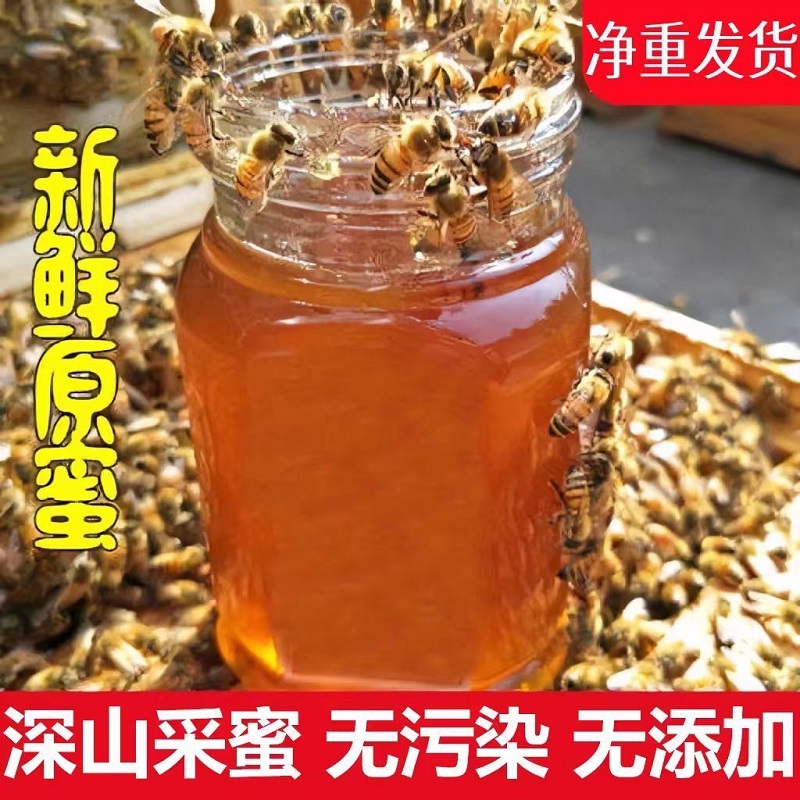 【100%无添加】正宗野生土蜂蜜原生态纯正农家自产枣花蜜百花蜜