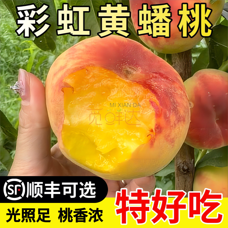 彩虹毛蟠桃当季新鲜水果现摘黄肉蟠桃露天油桃纽扣扁桃蜜桃整箱