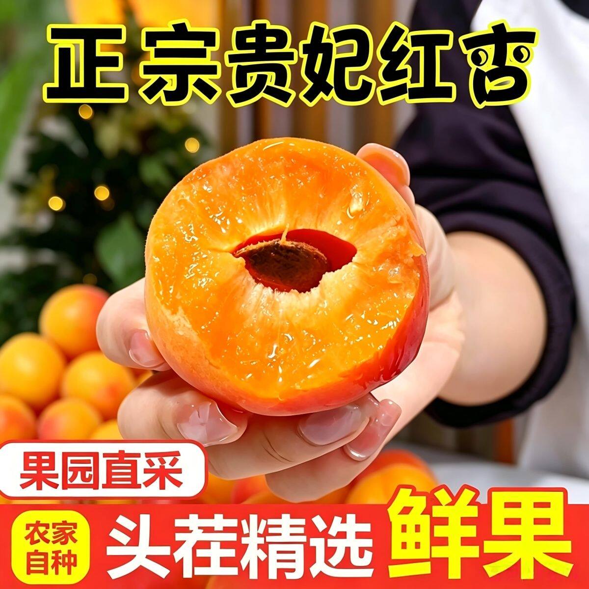 陕西贵妃红杏子新鲜水果现摘当季胭脂大红杏孕妇水果酸甜整箱包邮