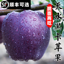 甘肃黑卡黑钻苹果水果9斤黑钻红蛇果新鲜当季 脆甜冰糖圣诞平安果