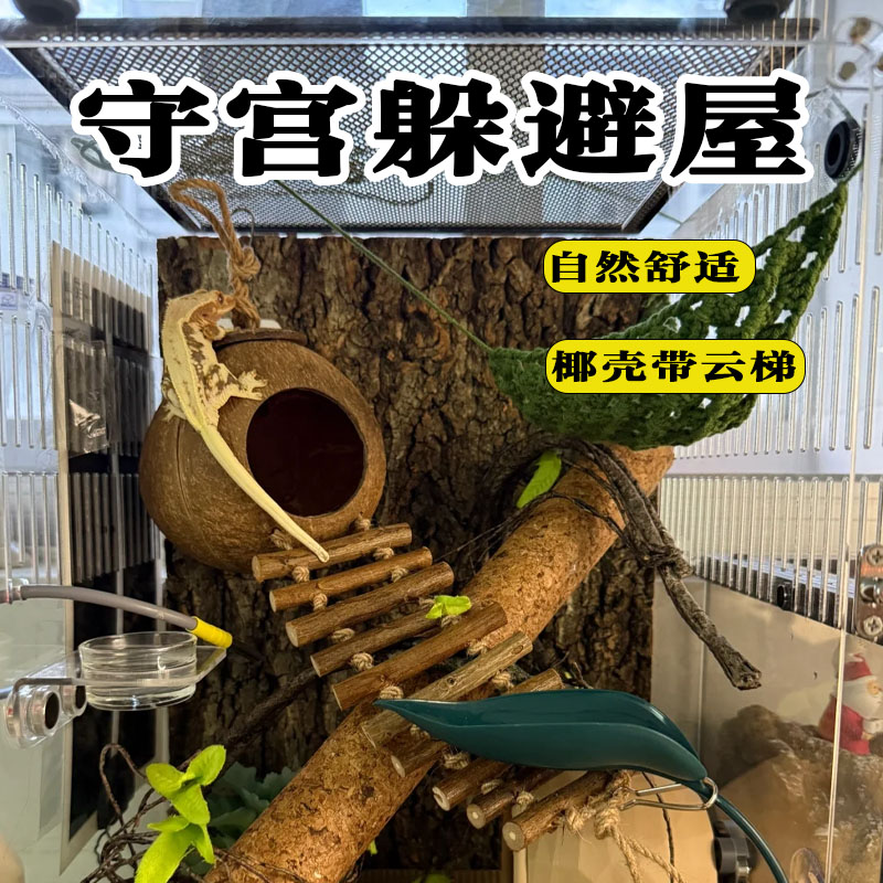 守宫躲避屋睫角攀爬造景天然椰壳套餐带梯玩具装饰生态爬宠饲养箱