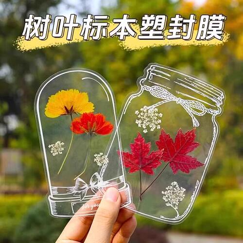 干花书签瓶子里的春天收集标本塑封膜压花树叶小学生自制diy材料