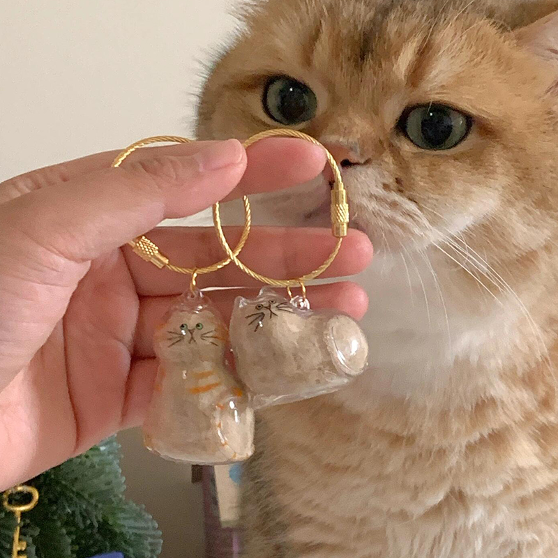 猫毛收纳器猫咪毛发存放收集扭蛋包包挂件纪念胶囊宠物小猫钥匙扣