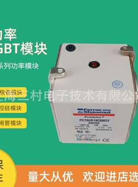 全新熔断器保险丝全新保护DVGR50V200/G212020 DIIGR50V2/Z212542