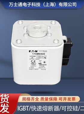 全新熔断器现货170M6499 170M6500 170M6501 170M6644 170M6645