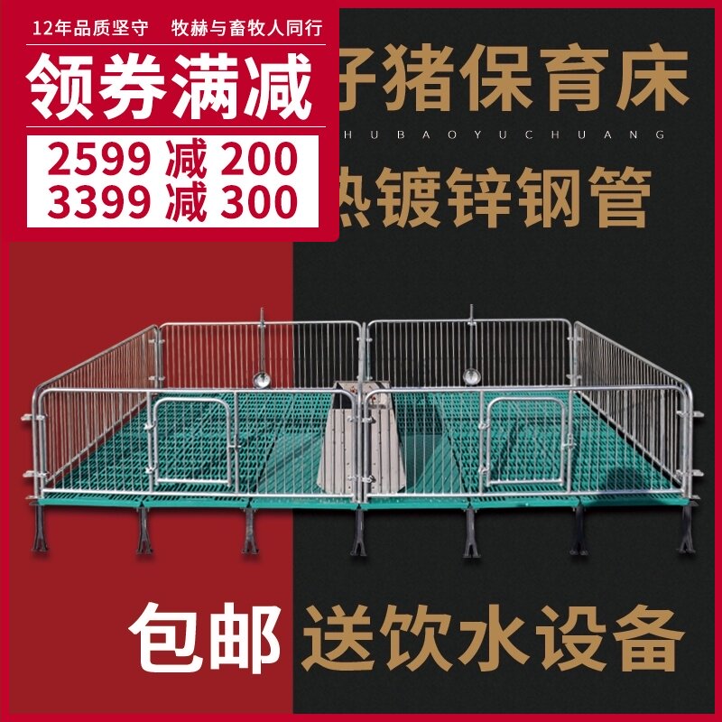 仔猪保育床母猪产床猪用分娩床定位栏小猪保育栏限位Z栏养殖器械
