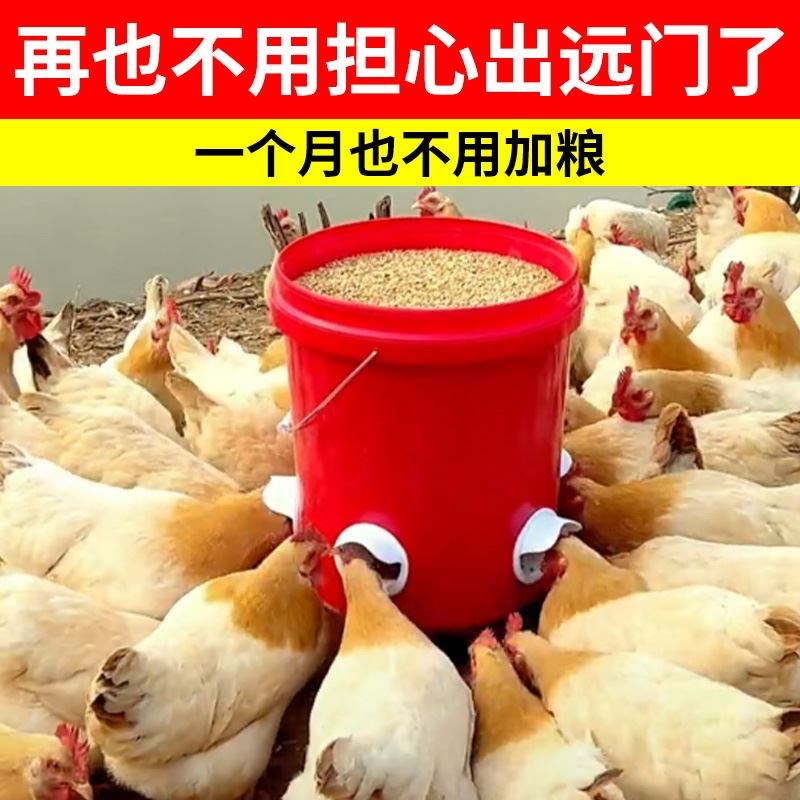 厂家自动喂食器家禽鸡鸭鹅专用养鸡神器自动下料器小鸡饲料鸡食槽