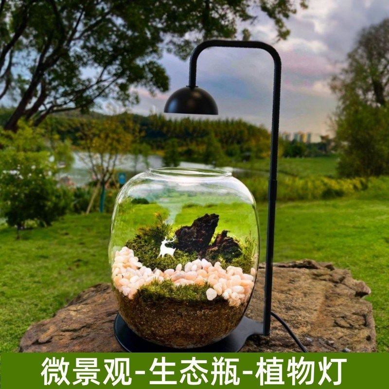 全光谱led微景观生态瓶补光灯仿太阳光苔藓灯荫生植物生长氛围灯
