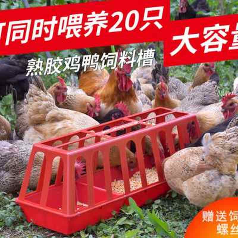 鸡食槽防撒大号长方形喂鸡食槽喂C水槽加厚鸡鸭喂食器养殖鸡食槽