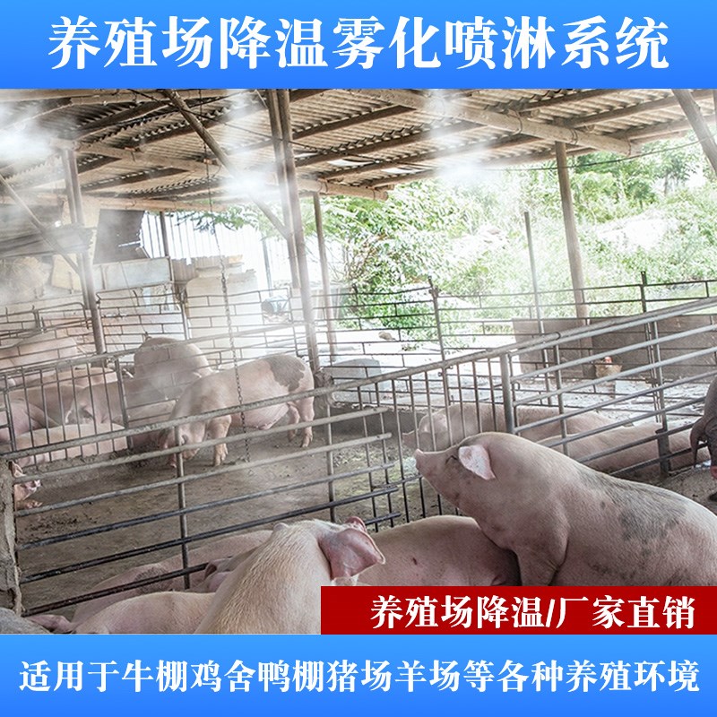 养殖场降温喷雾系统猪场鸡厂养牛定时降温消P毒加湿雾化降温喷头