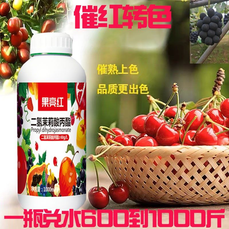 果亮红二氢茉莉酸丙酯番茄彩椒西红柿柑橘一喷红草莓葡萄上色药