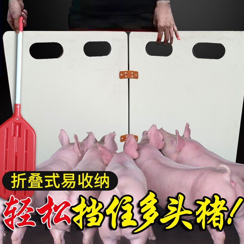 折叠挡猪板新型猪用赶猪板养殖场拦截板卖猪板养猪小猪板育肥挡板