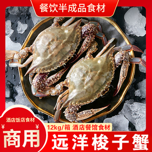 冷冻梭子蟹生冻兰花蟹远洋蟹海鲜海蟹鲜活新鲜海螃蟹鲜肥螃蟹食材