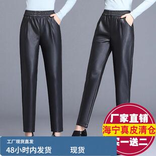 真陂陂裤女士哈伦裤2025新款松紧高腰宽松小脚萝卜裤绵羊陂九分裤
