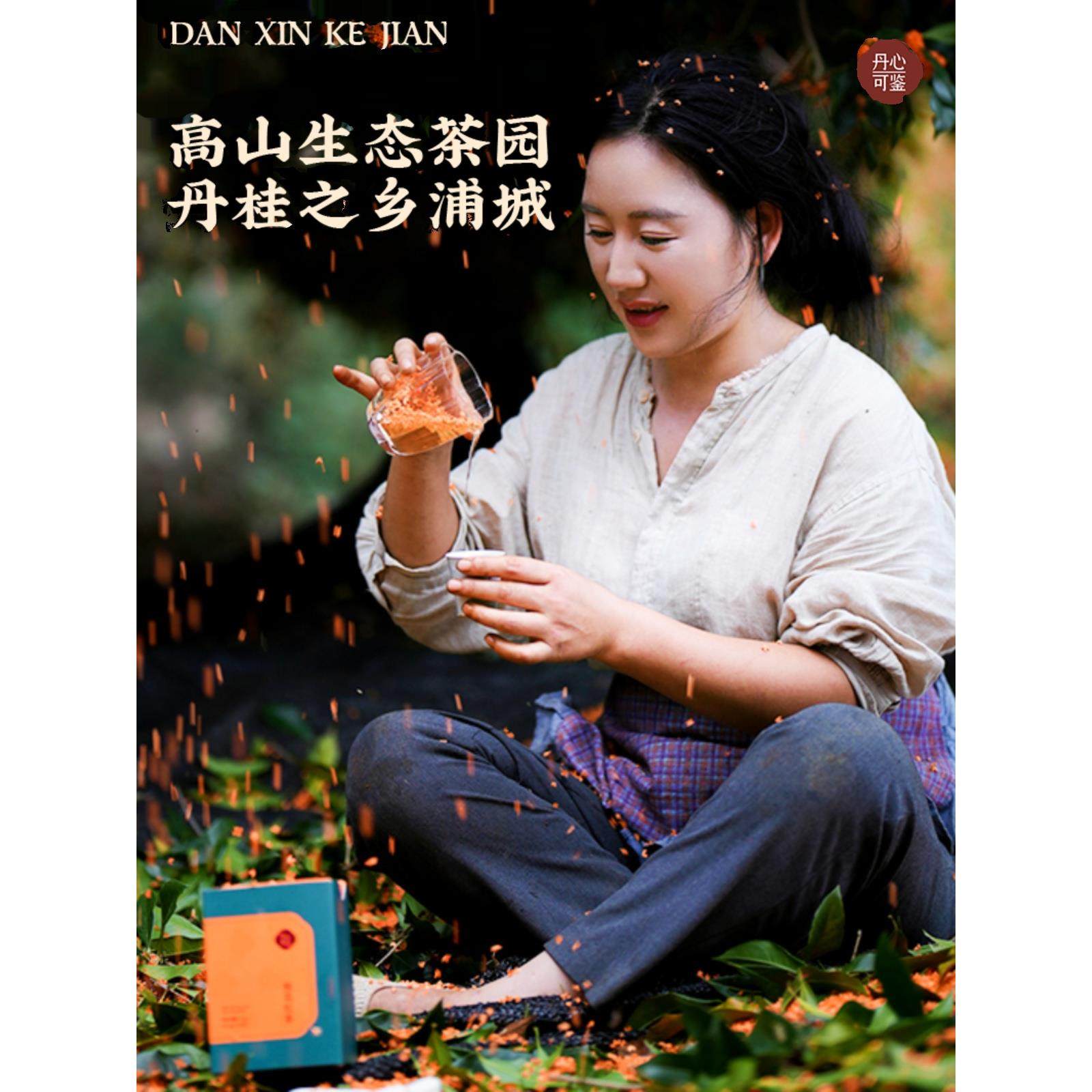 丹心可鉴桂花红茶乡愁沈丹武夷山正山小种茶叶礼盒装特级送礼长辈