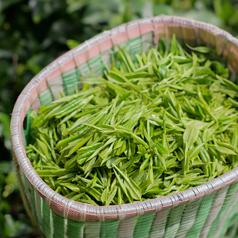 昌兴记 帅农鸟哥的茶 群体种新昌大佛龙井2023年明前绿茶50g/100g