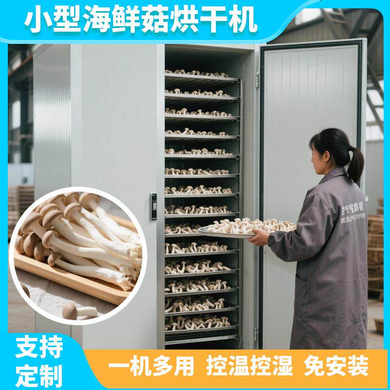 海鲜菇烘干机 电加热种植菌子海鲜菇杏鲍菇烘干机 食用菌烘干设备