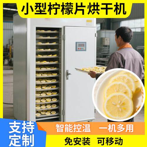 空气能柠檬烘干机商用 柠檬片烘干机 箱式电机热柠檬果茶烘干设备