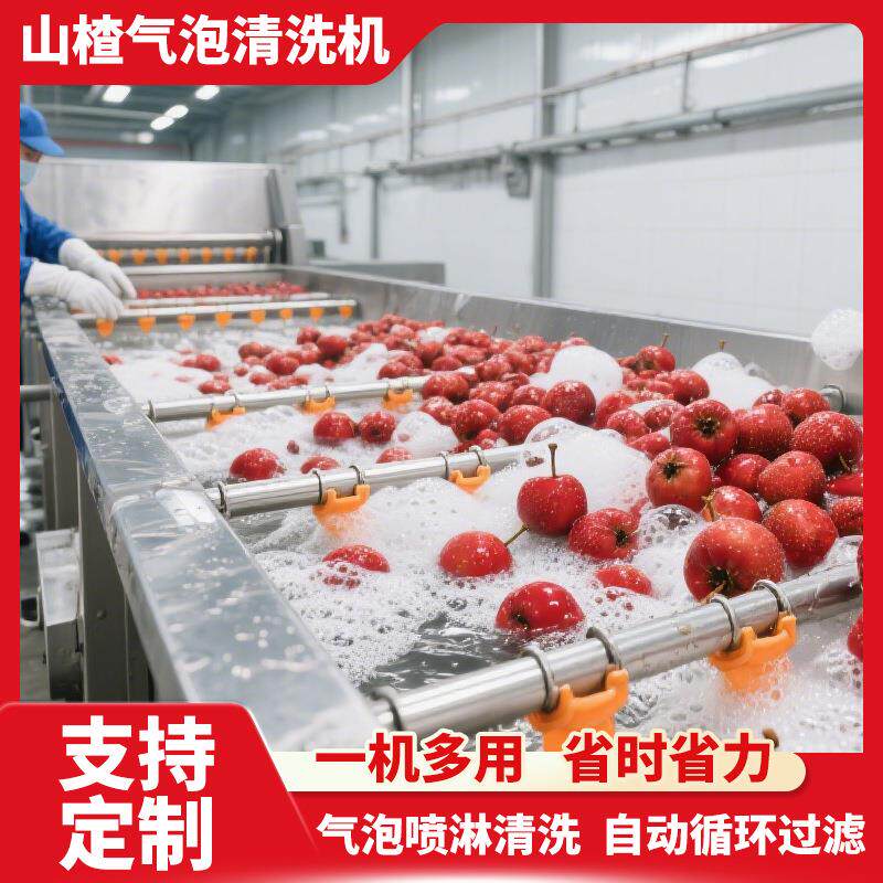 新型山楂清洗机 气泡式菩提子清洗机 蓝莓果蔬喷淋式清洗设备304