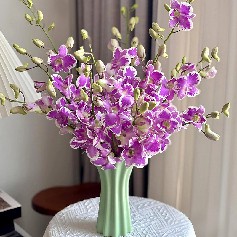 稀有进口洋兰鲜花云南直发千代兰鲜切花家用室内水养瓶插花万代兰