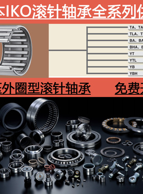 日本进口IKO英制滚针轴承BA大全2812 2816 2820 2824 308 3010ZOH