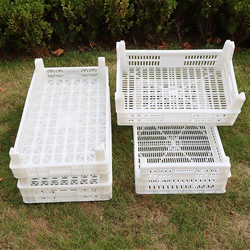 极速2023e新款塑料水果周转运输筐加厚熟胶PE芒果葡萄多用箱高脚