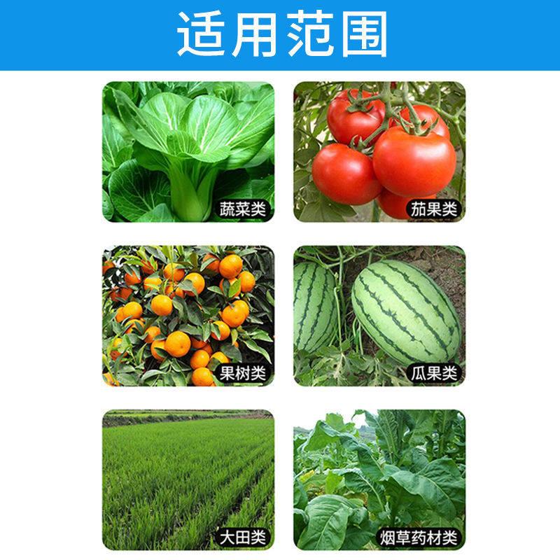 极速钙镁硼锌铁中微量元素水溶B肥料叶面肥喷施果树肥料流体硼肥