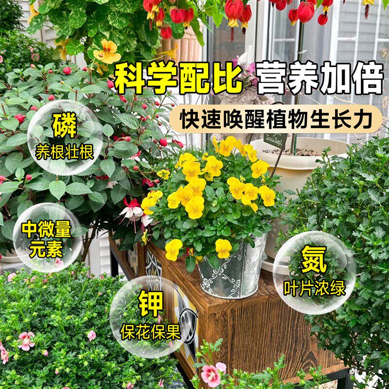 极速免稀释植物营j养液通用型盆栽花卉室内绿植发财树金钱树叶面