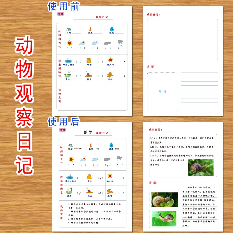 极速小学生d动物植物生长观察记录本表幼儿园自然角实验生长发育