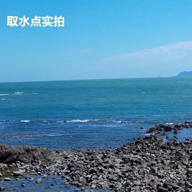 极速天然海水海洋鱼类n生物用水 真海水 纯海水 液体海水1.8L 海