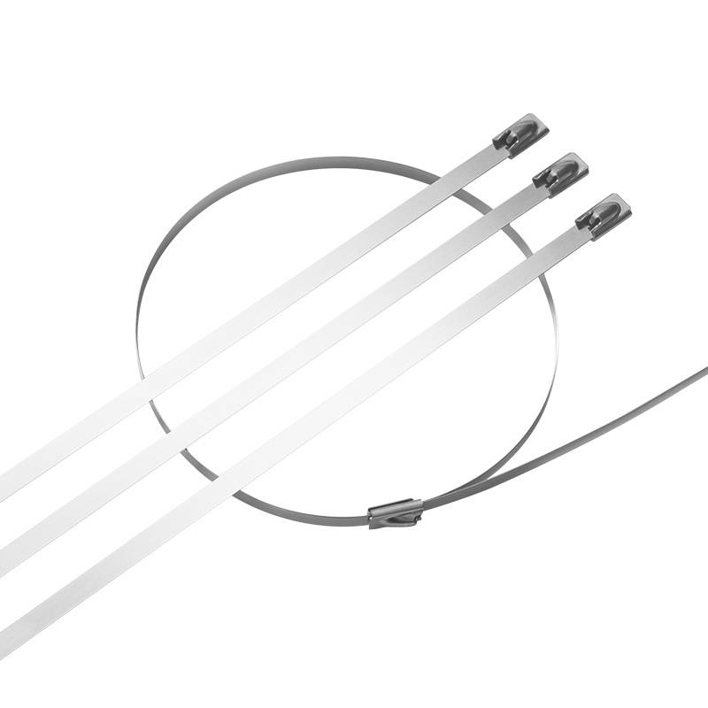 极速304不e锈钢扎带自锁式捆扎带4.6*300船用交通电缆金属白钢吊