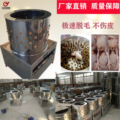 新品大型家e禽脱毛机鸡鸭鹅电动不锈钢去毛机器橡胶棒全自动商用