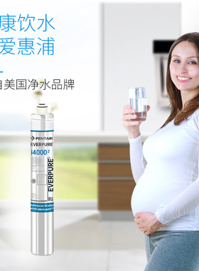 极速爱惠浦c净水器I40002滤芯 商用厨房直饮制冰机专用i4000 大流