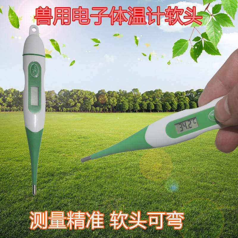 极速兽用体温枪体温测温仪电子温度计猪用体温表动物X测温枪鸡用,畜牧/养殖物资,畜牧/养殖器械,淘宝优惠券,粉丝福利购,淘宝优惠卷