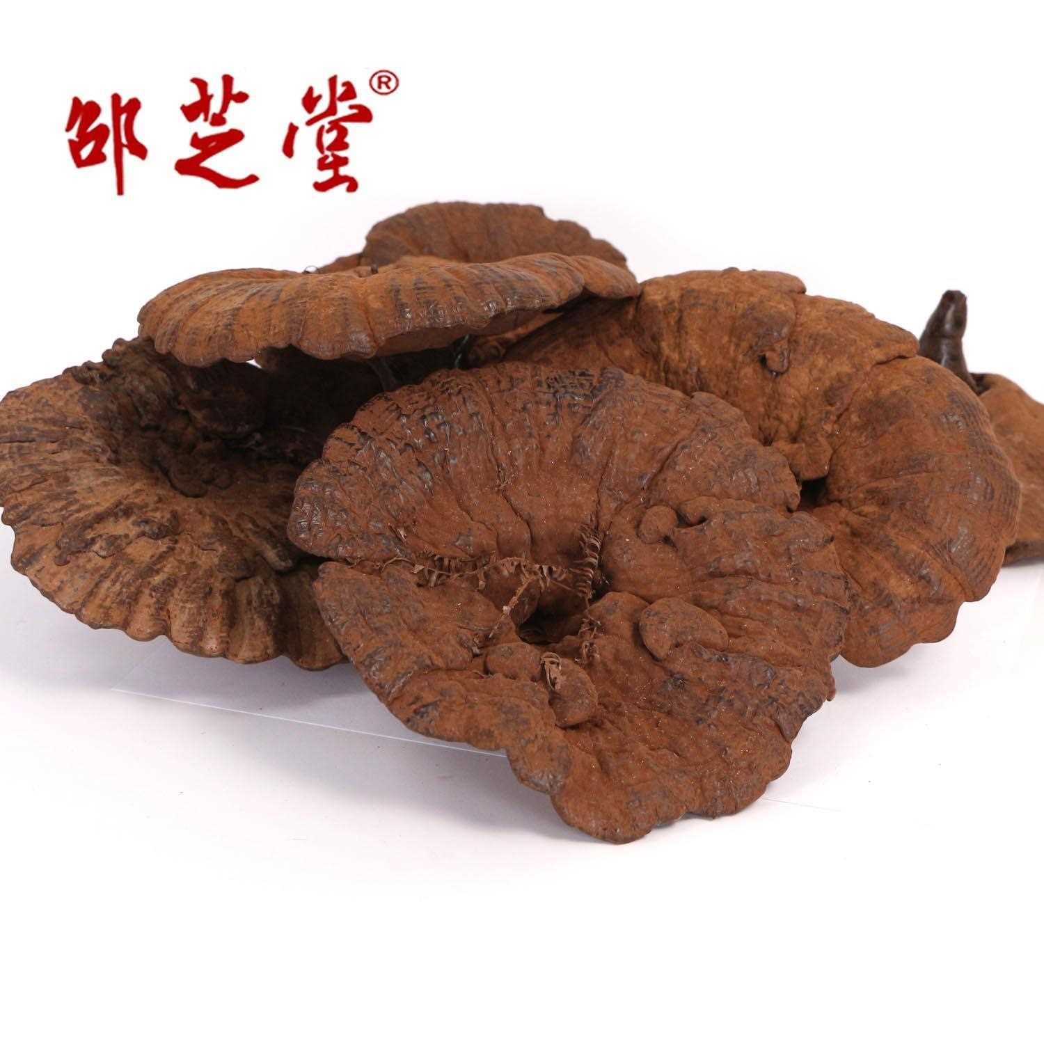 大别山产地供应仿野椴木紫灵芝黑芝切片带草附孢子粉不苦野外种植