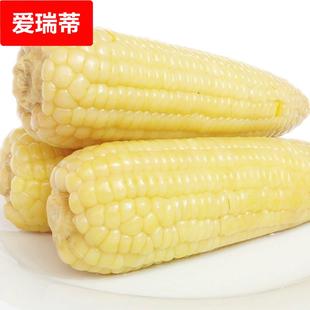 张家口万全甜糯玉米棒真空包装白糯较嫩6根8根10根装
