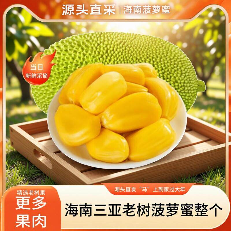 海南黄肉干包菠萝蜜一整个大果软糯香甜三亚特产波罗蜜包邮