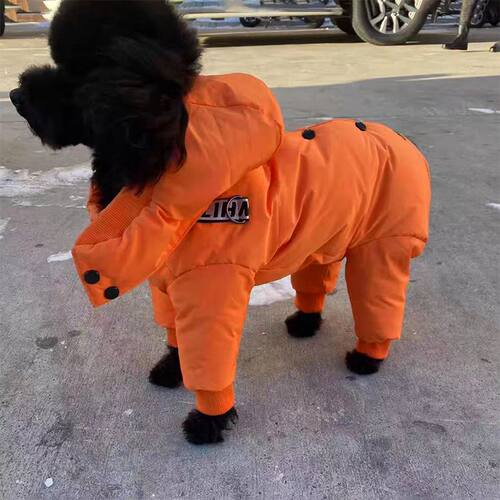 猫咪狗狗通用保暖可牵引