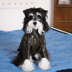 宠物猫咪狗狗皮衣外套秋冬新款 猫中小型犬 复古帅气中小型机车工装